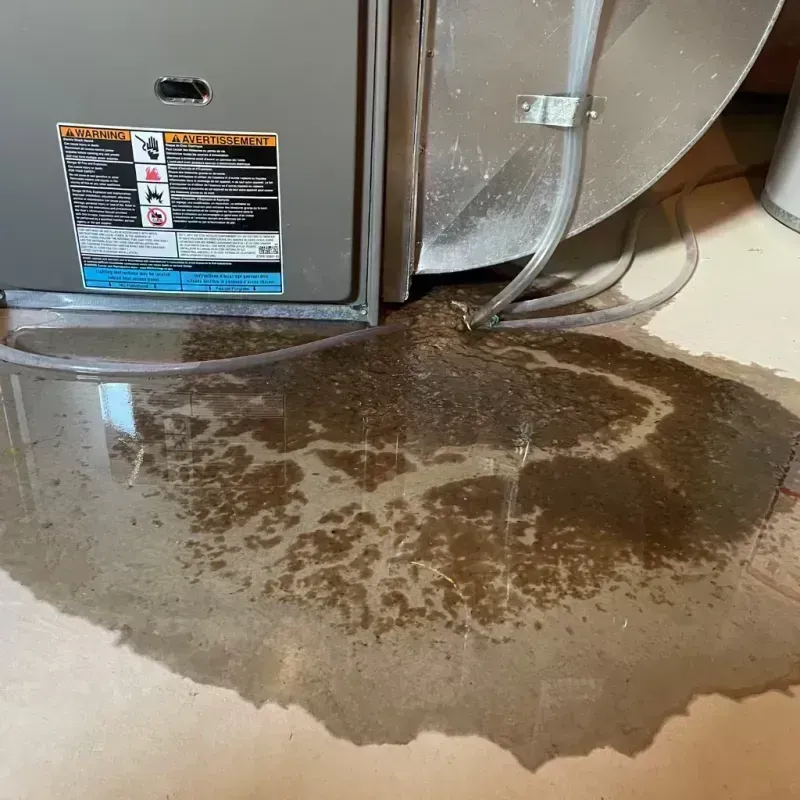 Appliance Leak Cleanup in Limestone, IL